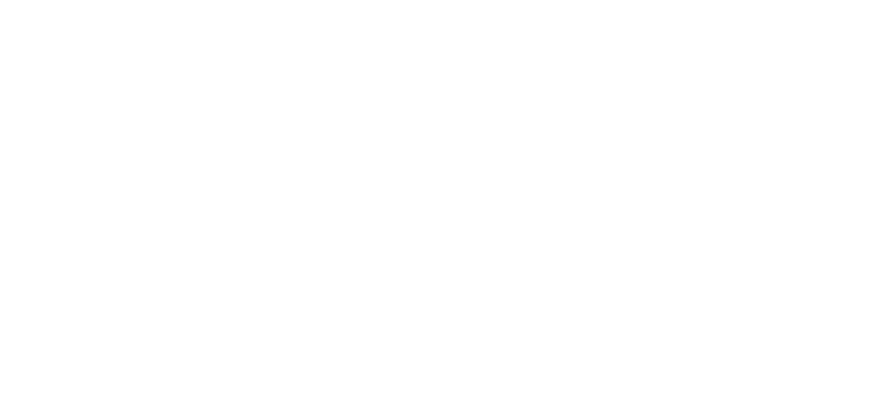 Official Zelle Logo